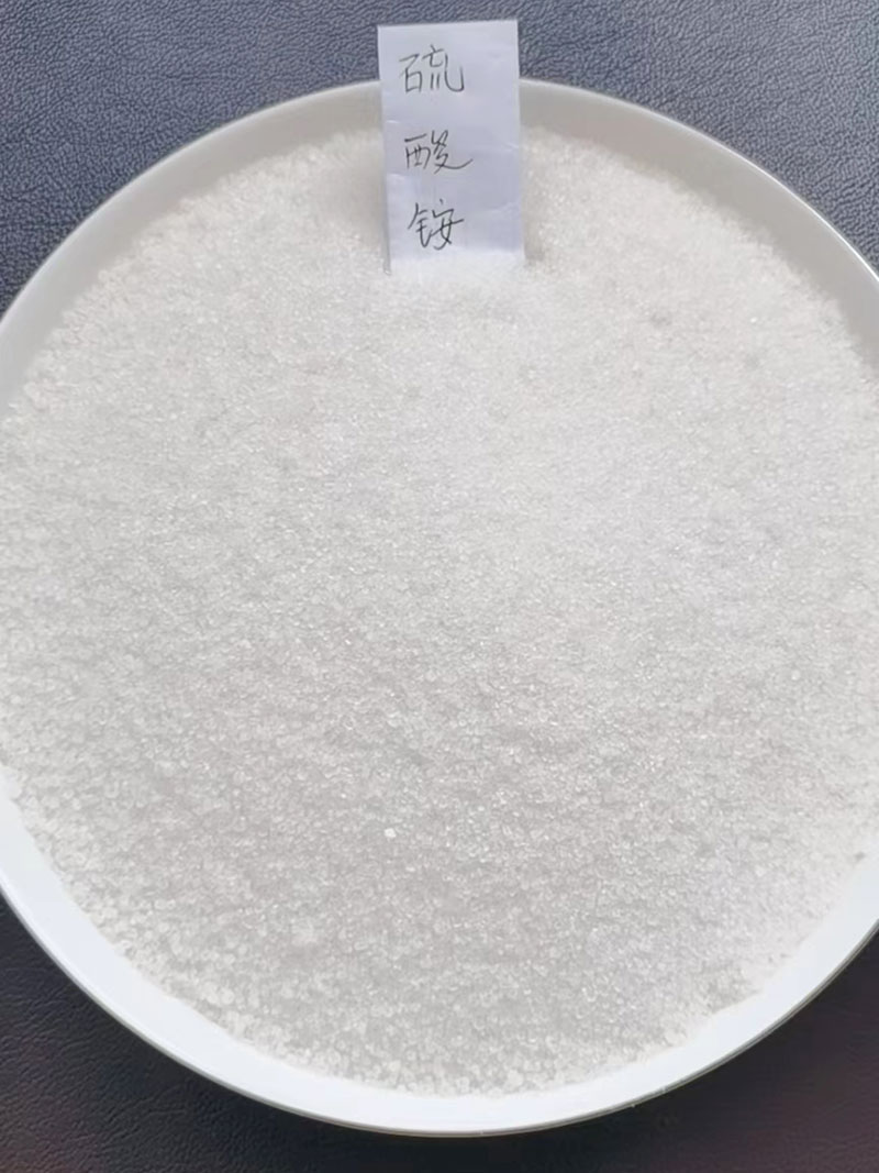 亞草莓视频官方网址